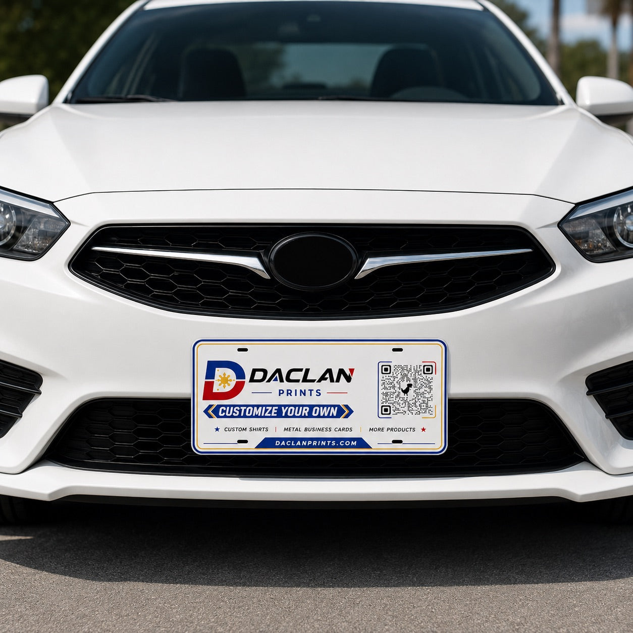 FRONT CAR PLATE